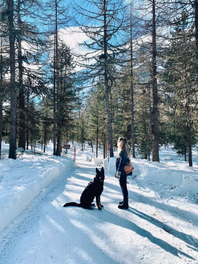 Excursion ski de fond avec chien à l’auberge de jeunesse de Pontresina