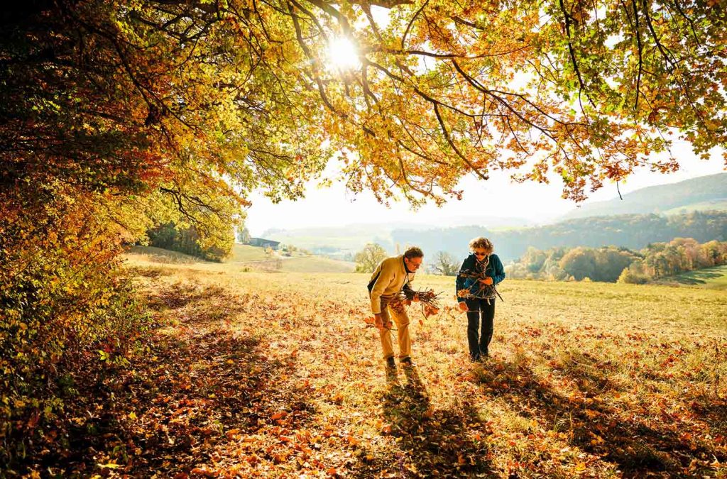 The summer heat is history, the sunlight is slowly becoming softer and bathes the increasingly yellow and red leaves on the trees in a golden glow. What better way to chase away the autumn fog or clouds than with our hiking tips while you can still see far into the distance?