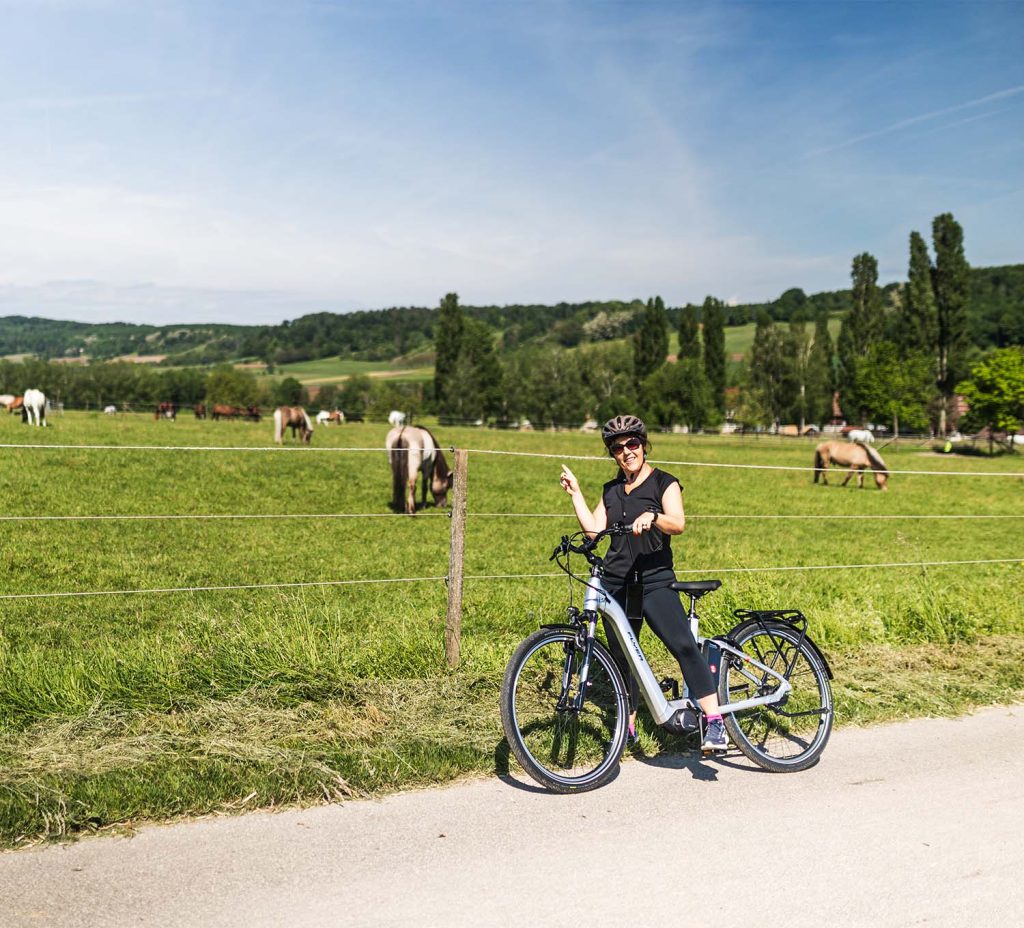 La combinaison parfaite à Bâle : escapade citadine et circuit en vélo électrique