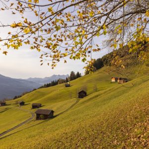 Herbststimmung in Triesenberg, Bild aufgenommen am 25.10.2022 
- Herbst, Gnalp 
FOTO & COPYRIGHT: DANIEL SCHWENDENER